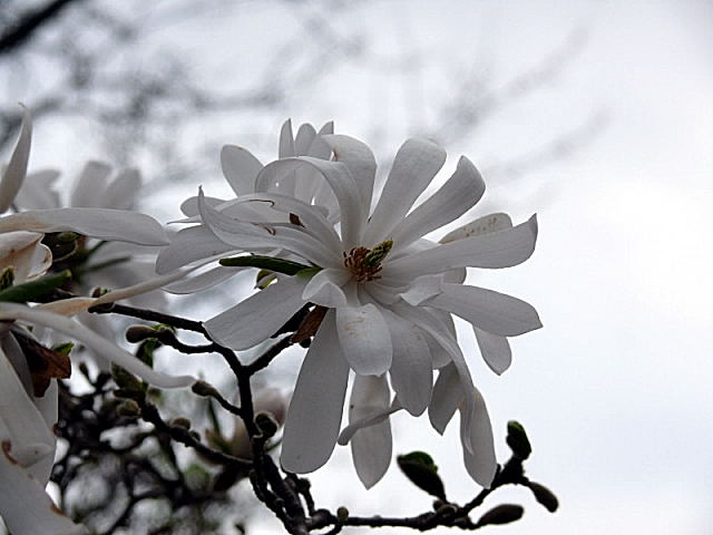 Endlich Frühling