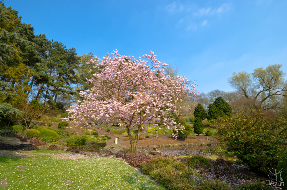 Endlich Frühling....