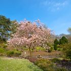 Endlich Frühling....