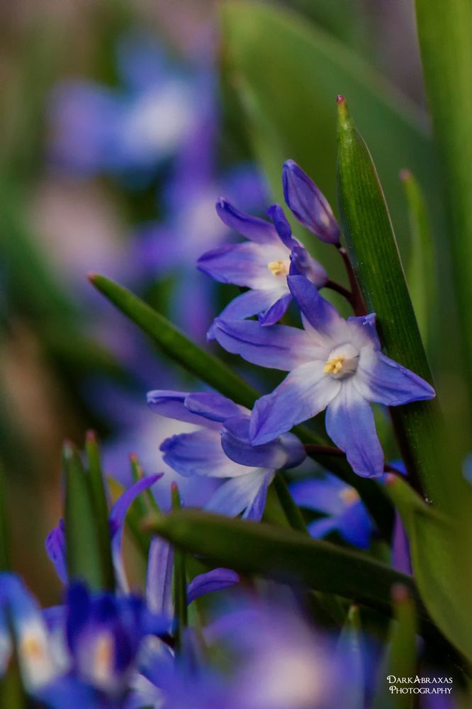 Endlich Frühling!