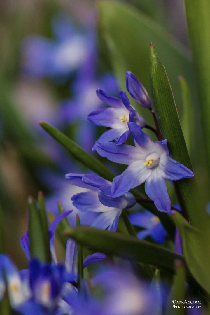 Endlich Frühling!