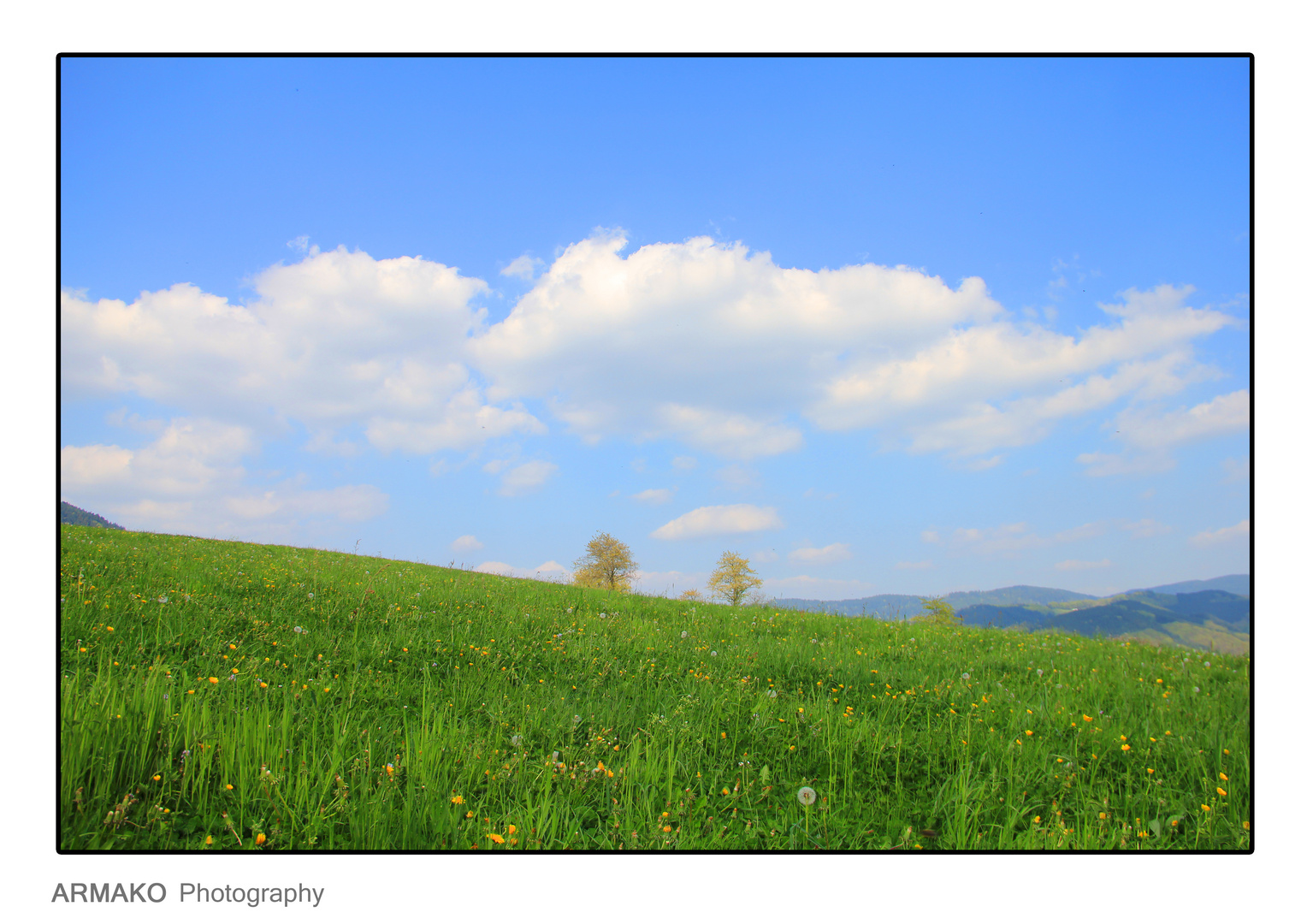 Endlich Frühling