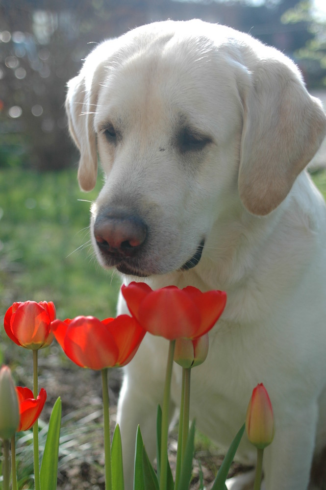 Endlich Frühling