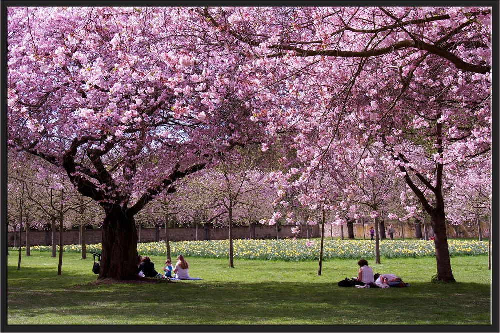 ENDLICH FRÜHLING