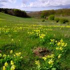 Endlich Frühling !!!!