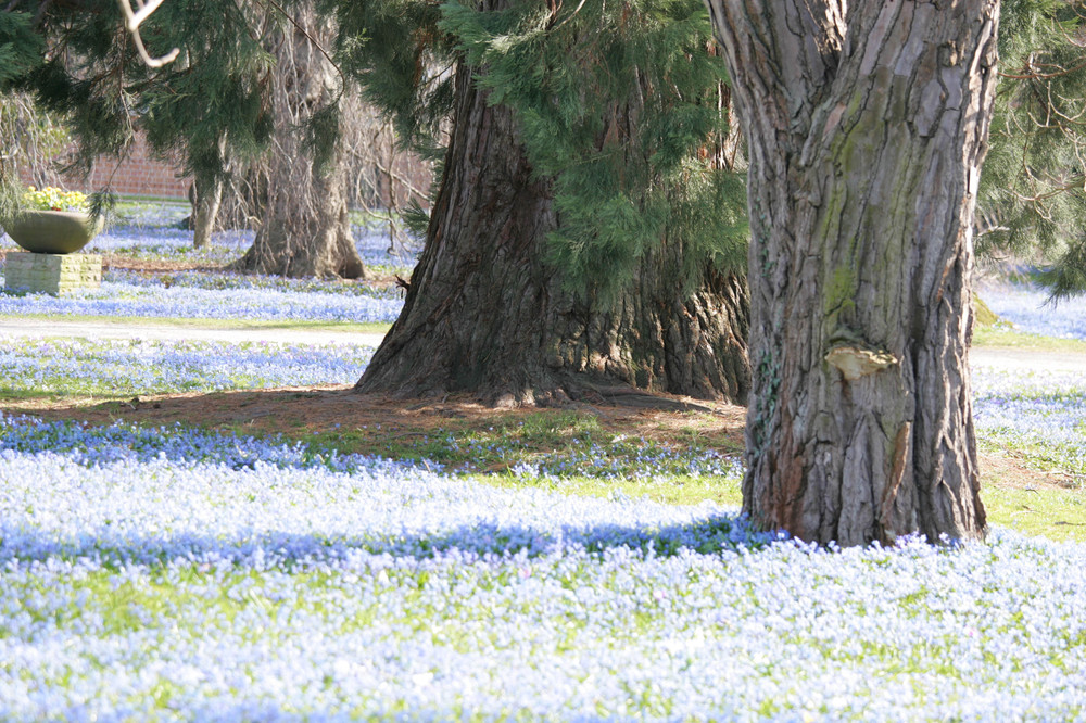 Endlich Frühling 1