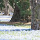 Endlich Frühling 1