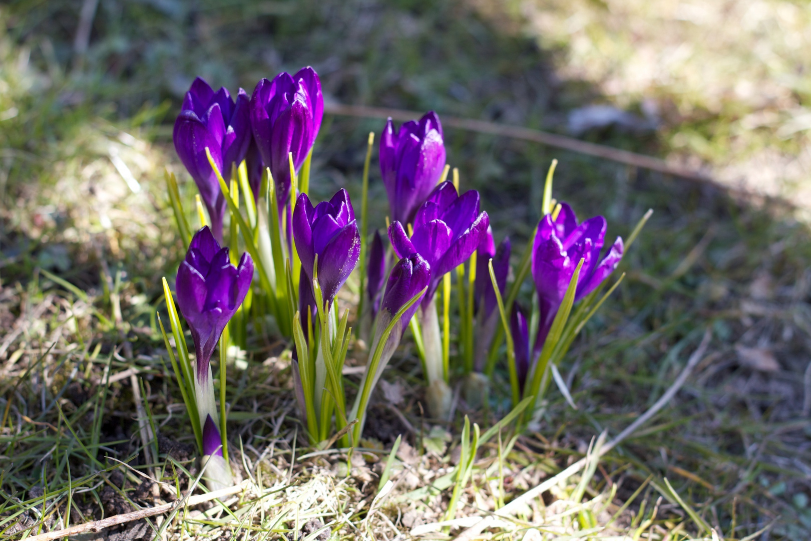 Endlich Frühling - 1 Tag im April 2013