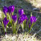 Endlich Frühling - 1 Tag im April 2013