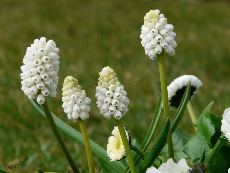 Endlich Frühling!!