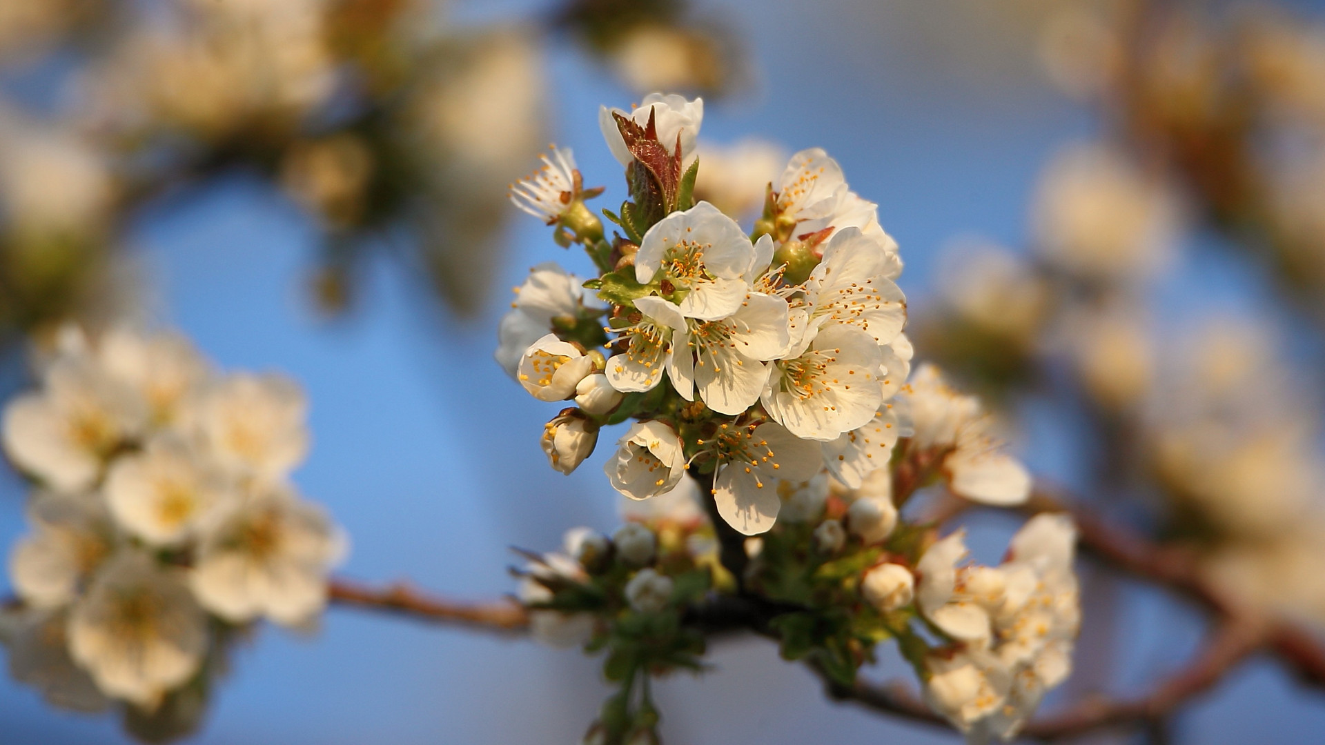 Endlich Frühling