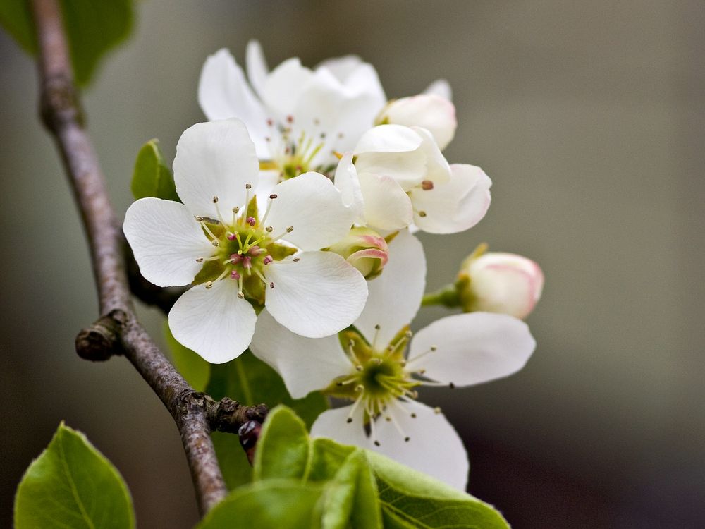 Endlich Frühling