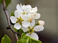 Endlich Frühling