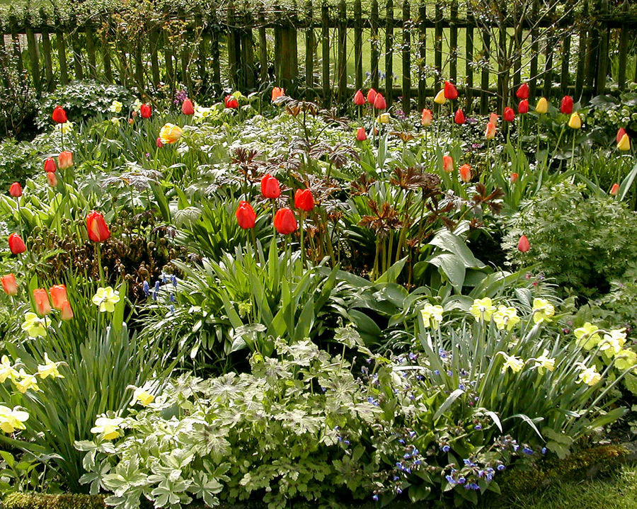 Endlich Frühling!! von Ursula Plath