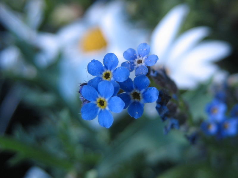 endlich Frühling