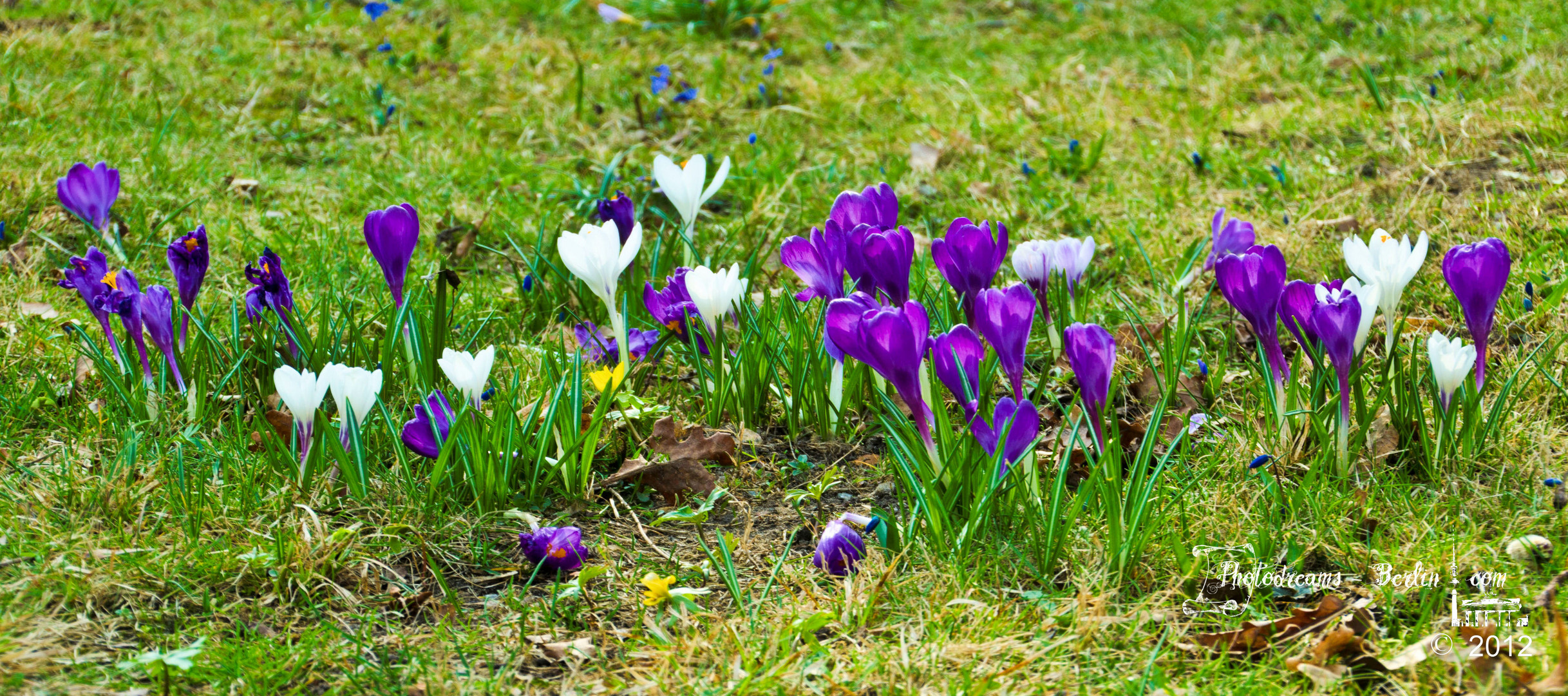 endlich Frühling...