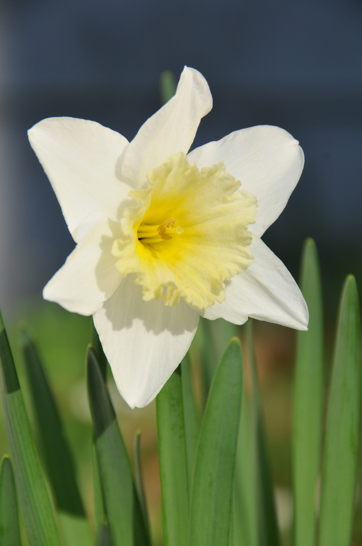 Endlich Frühling! (2)