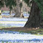 Endlich Frühling 2