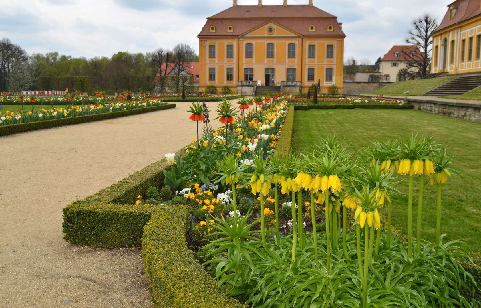 Endlich Frühling (2)