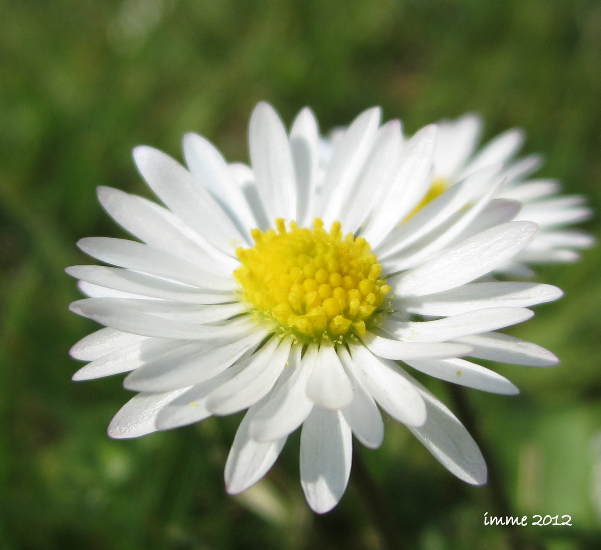 endlich Frühling