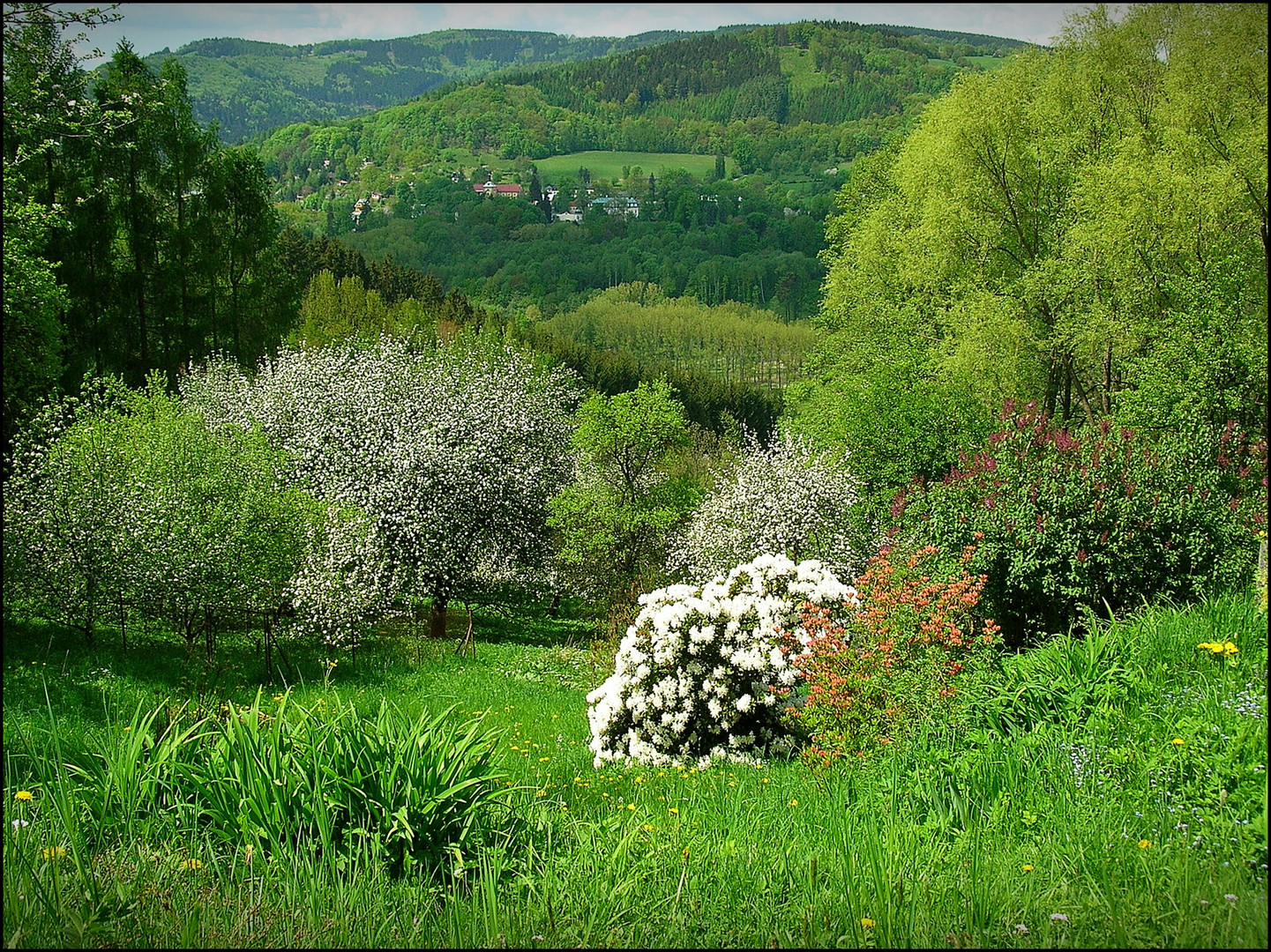 Endlich Frühling