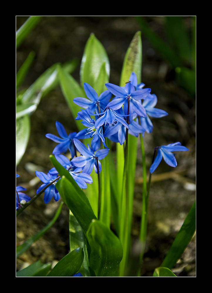 endlich Frühling