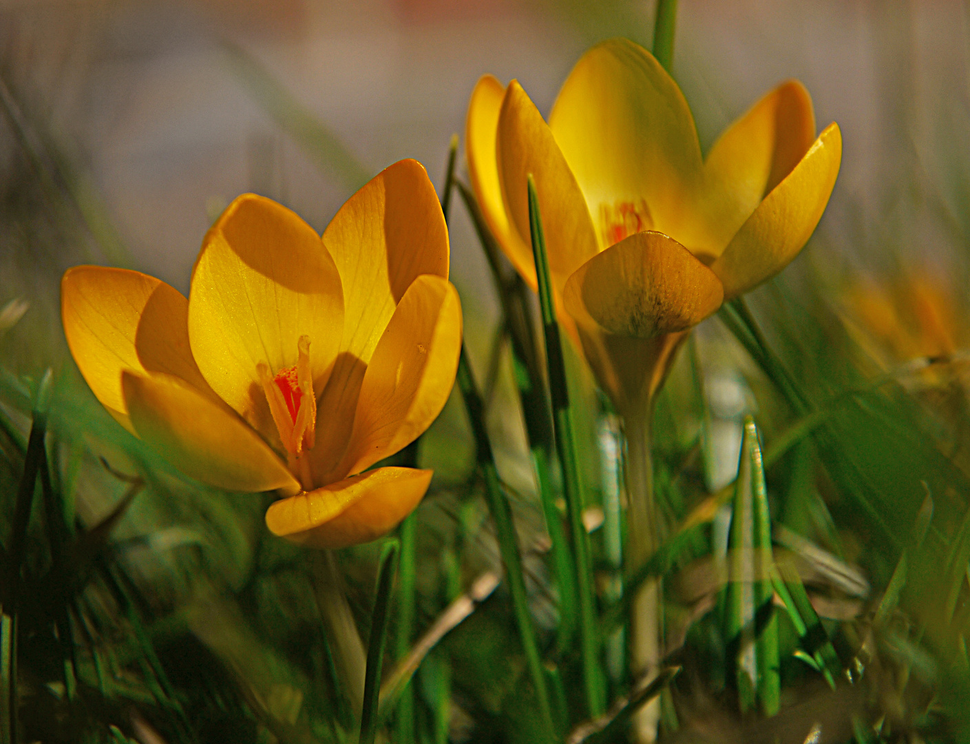 Endlich Frühling!