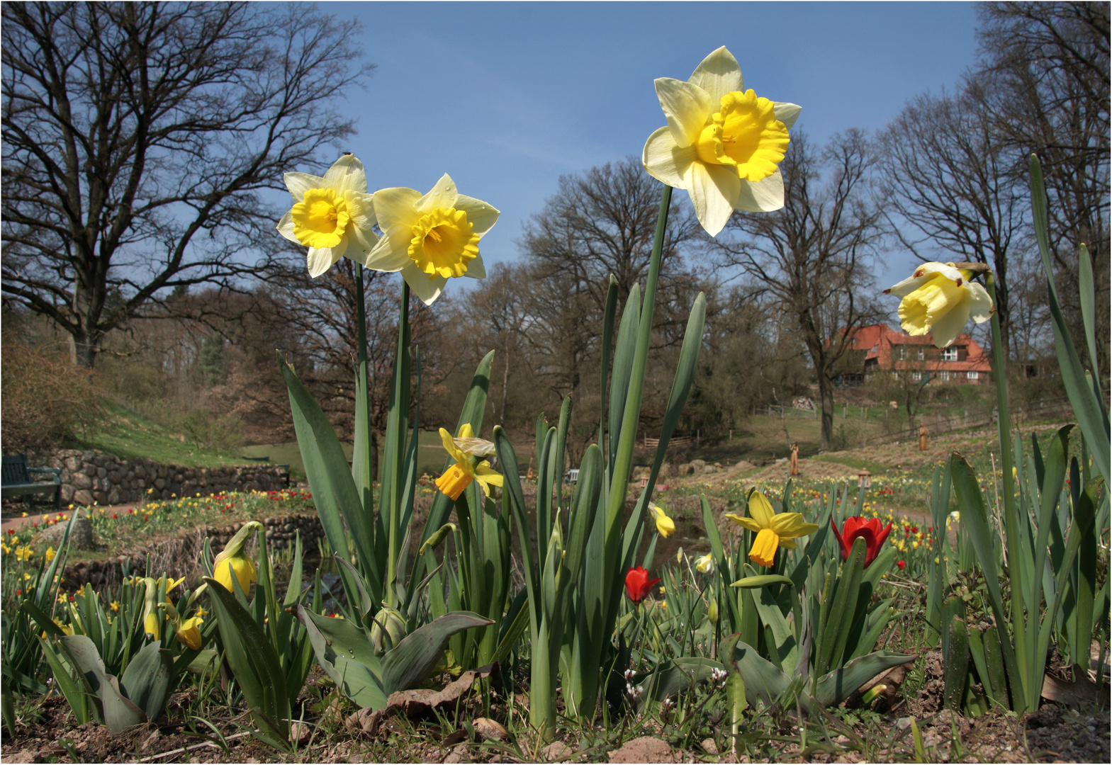 Endlich Frühling