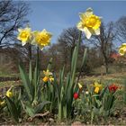 Endlich Frühling