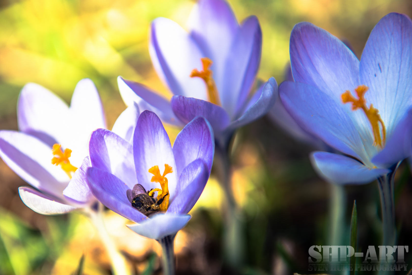 Endlich Frühling,...