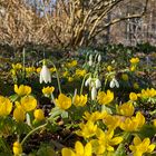 Endlich Frühling