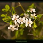 Endlich Frühling