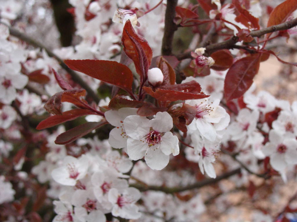 Endlich Frühling