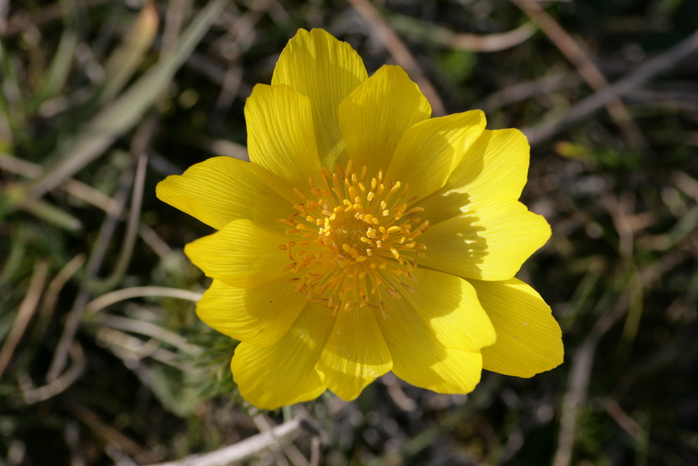 Endlich Frühling