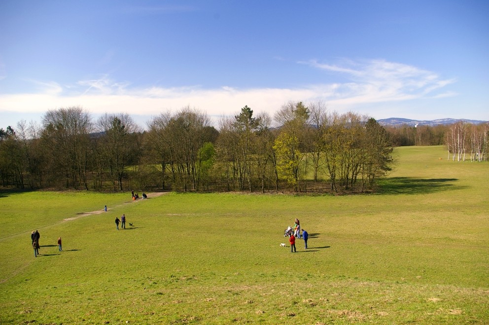 Endlich Frühling von Alfred Buchbauer