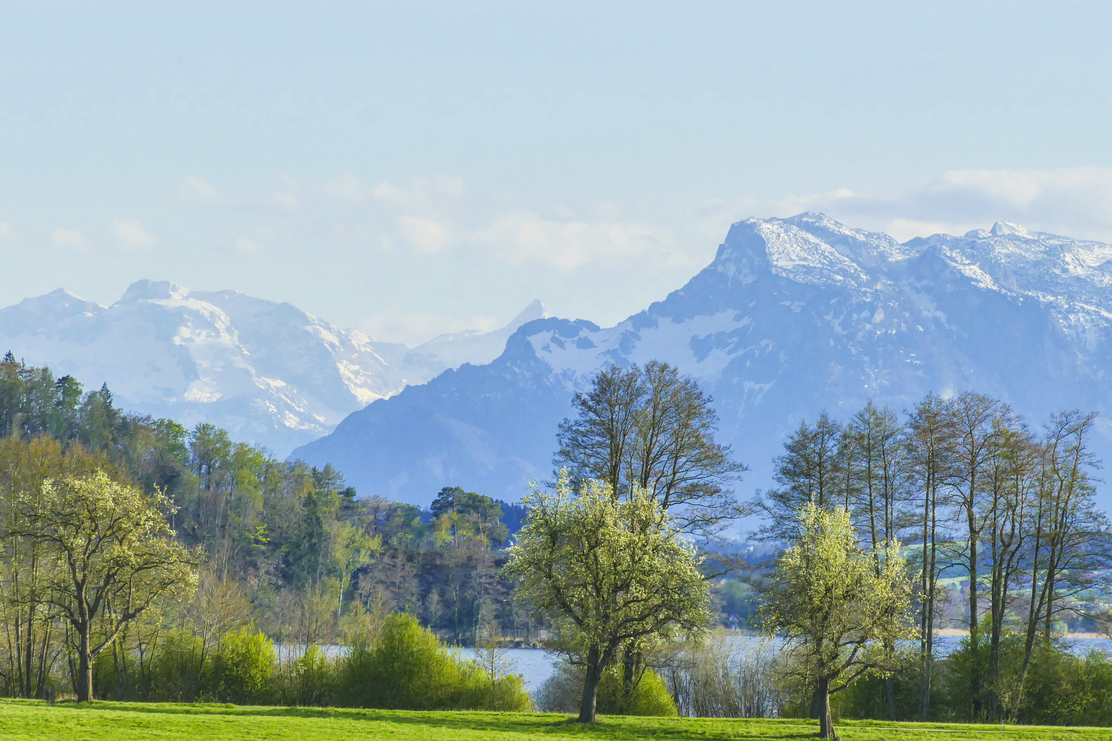 Endlich Frühling