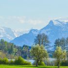 Endlich Frühling