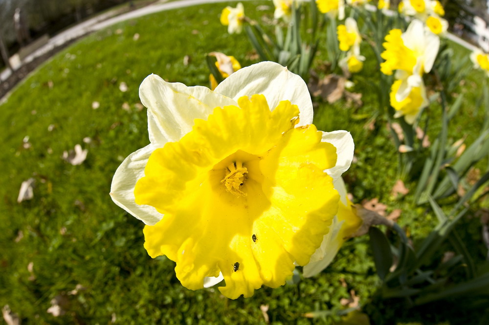 Endlich Frühling