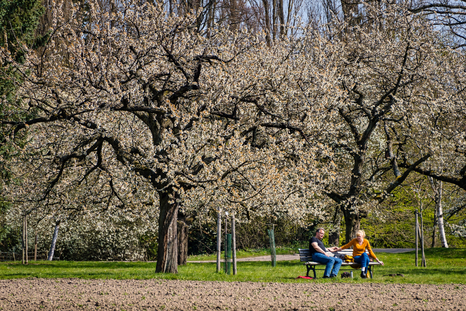 Endlich Frühling