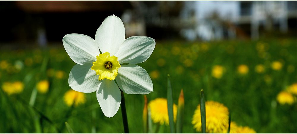 Endlich Frühling