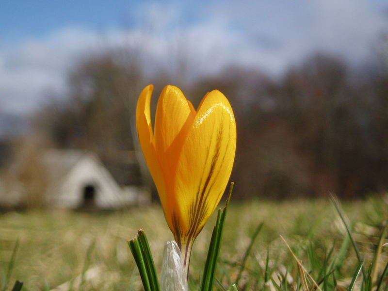 endlich frühling ...