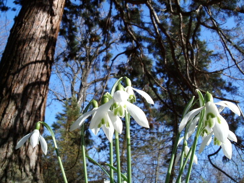 endlich Frühling