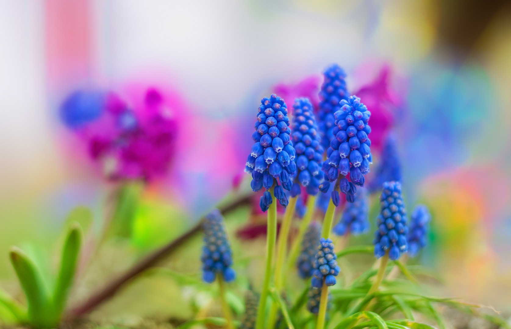 endlich... Frühling...