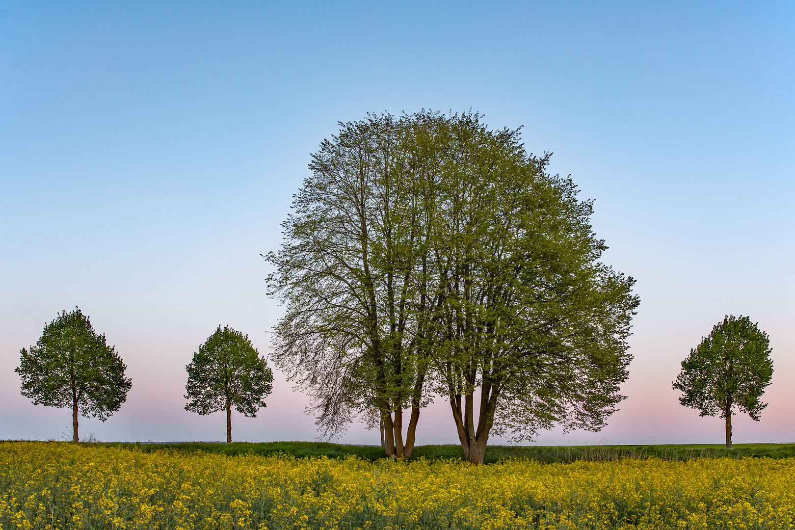 endlich Frühling