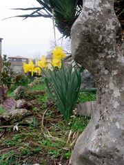 Endlich Frühling