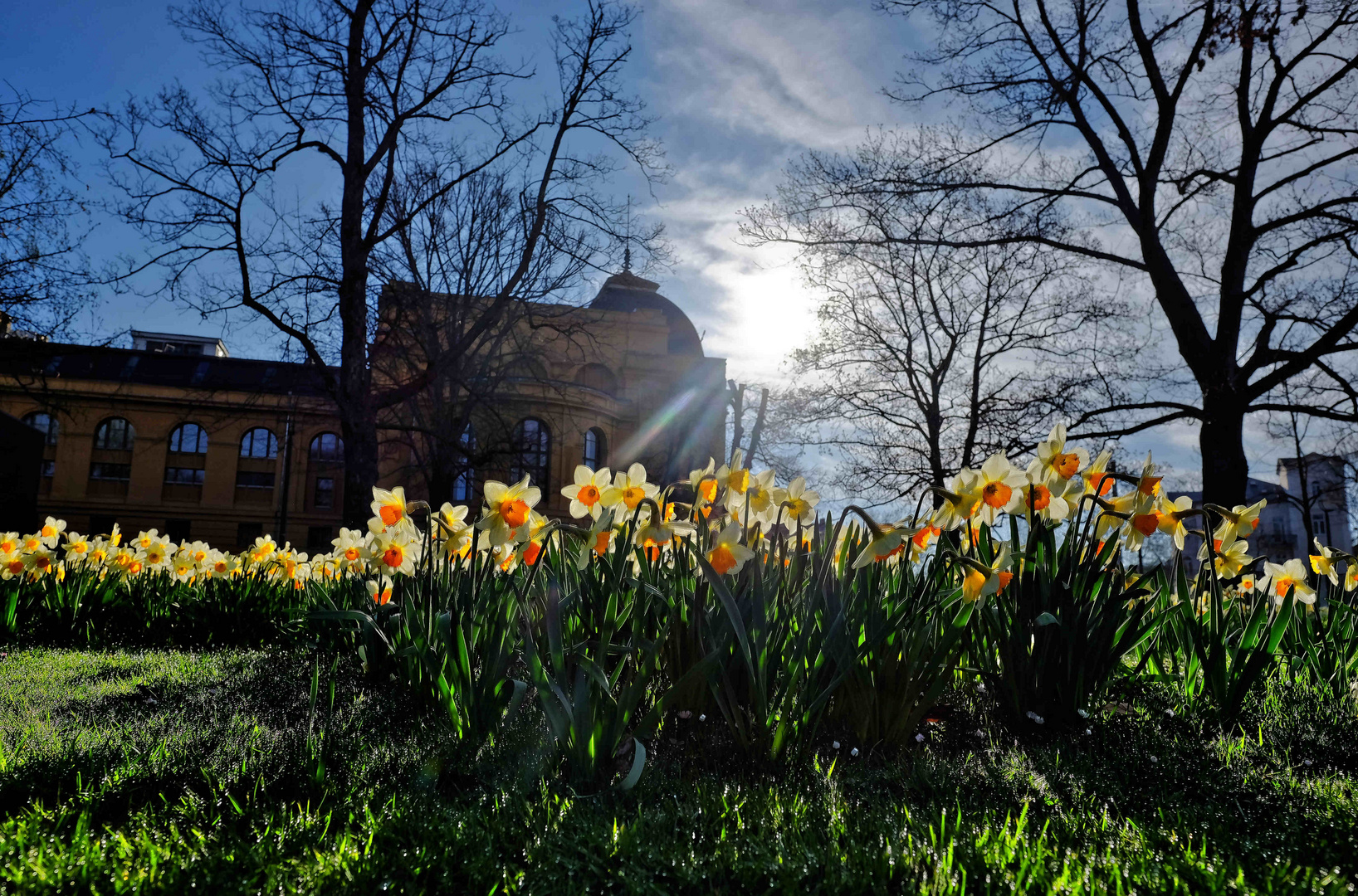 Endlich Frühling