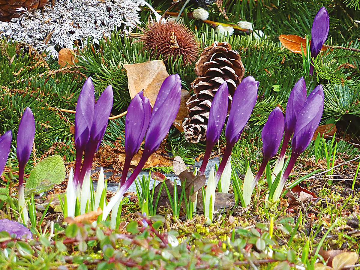 Endlich Frühling!