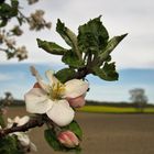 Endlich Frühling!