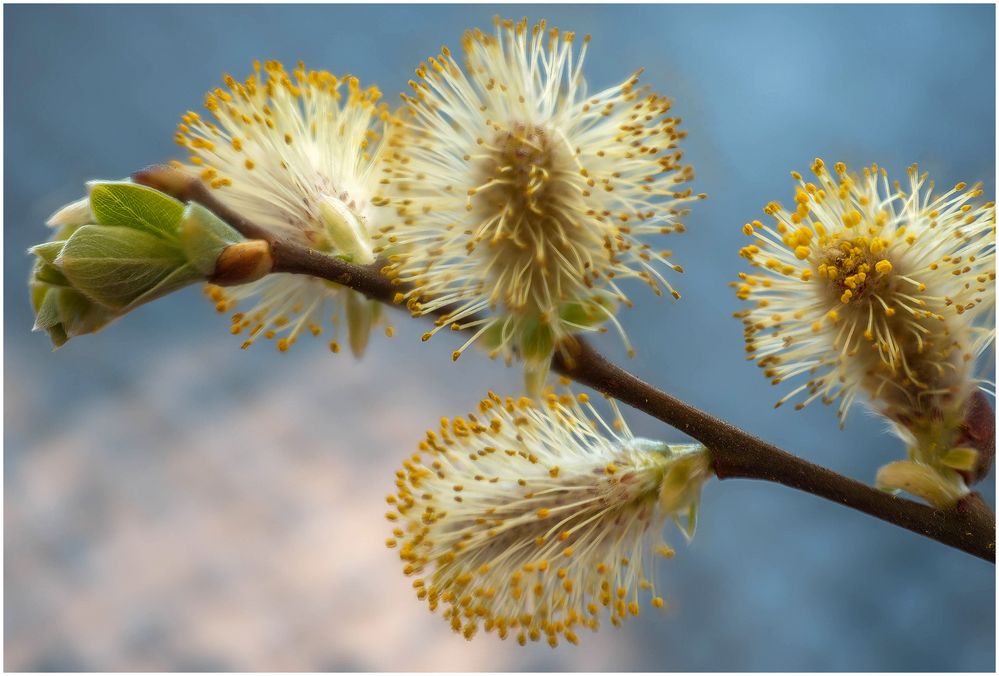 endlich Frühling