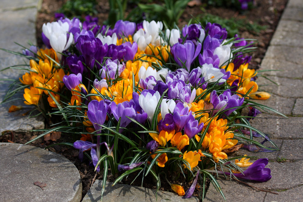 Endlich Frühling!